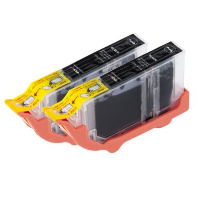 Image of inkClub Ink Cartridge black 12ml, 2-pack