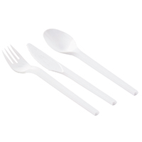 Image of Cutlery plastic white spoon 100 pack