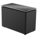 Champion WiFi Speaker Large Champion WiFi Speaker Large