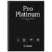 Fotopapir Pro Platinum A4 20 ark 300g (PT-101)