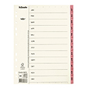 Register Servo A4/Jan-Dec, rosa FSC®Mix100%, 10 st Register Servo A4/Jan-Dec, rosa FSC®Mix100%, 10 st