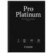 Fotopapper Pro Platinum A3  20 ark 300g (PT-101)