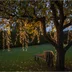 LED Ljusslinga Shiny Warm White 11m
