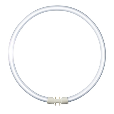 T5 FC 40W/840 Circline Lumilux Cool White 2GX13