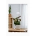 Iris Växtbelysning 5W Dim med touch