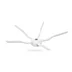 Brosse latérale en silicone Roborock, pack de 2 blanc 