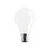 Matt Glöd lågvoltslampa B22d 40W 48V