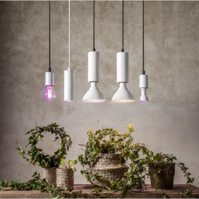 Star trading LED spot växtlampa E14 3,5W