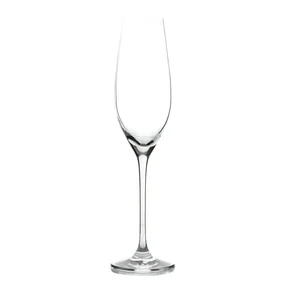 Champagneglas 21 cl 2-pack