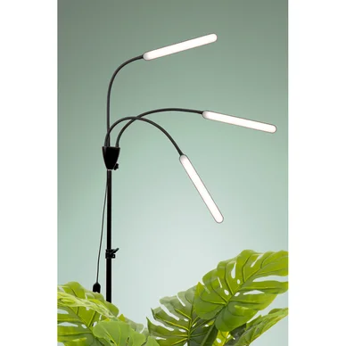 Plantebelysning Palm 24W/940 1130lm