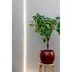Växtbelysning LED strip 2m