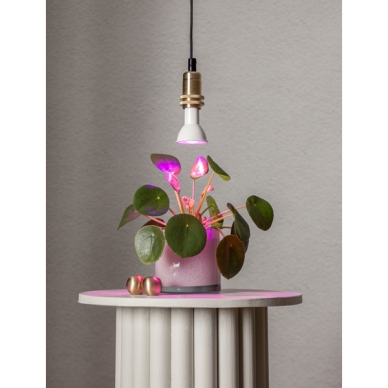 Star trading LED spot växtlampa E14 3,5W