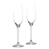 Champagneglas 21 cl 2-pack