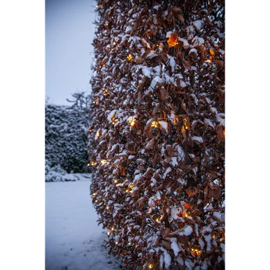 Ljusnät Shiny Warm White 3x3m