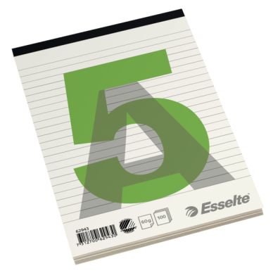 ESSELTE alt Notebook A5 60/100 gelijnd zonder gat TFS