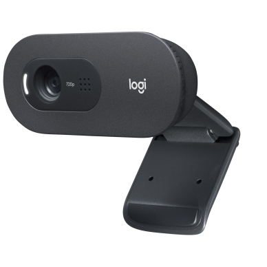 LOGITECH alt Logitech C505 HD Webcam