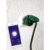 Star Trading Tillbehör Smart Plug Outdoor