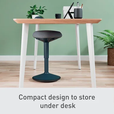 Leitz Ergo Active Sittpall mörkgrå