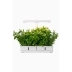 Daisy Växtbelysning 20W 1450lm