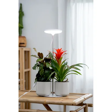 Växtbelysning Ivy 14W/835 650lm