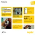 Aqiila Tagbird Tracker iOS/Android Nyckelring 1-pack