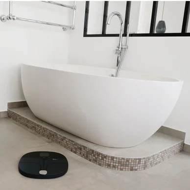 Terraillon Personvåg Master Coach Wifi