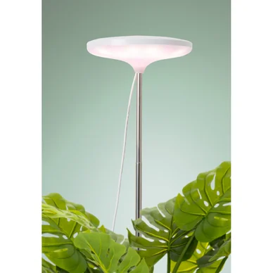 Växtbelysning Ivy 14W/835 650lm