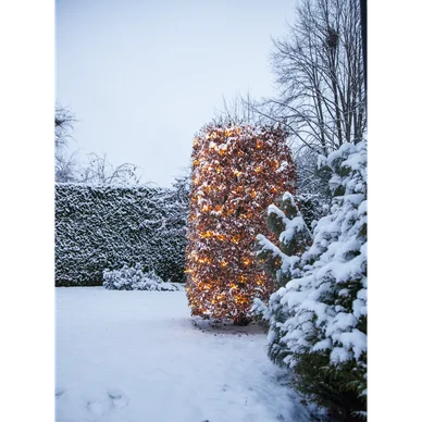 Star Trading Lysnet Shiny Warm White 3x3m 594-65 Modsvarer: N/A