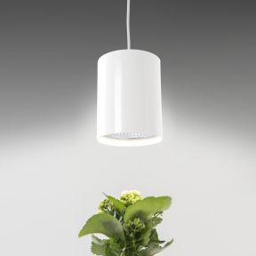 Fiora LED Plant E27 10W840 VI