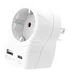 Skross Europe to USA USB AC20PD