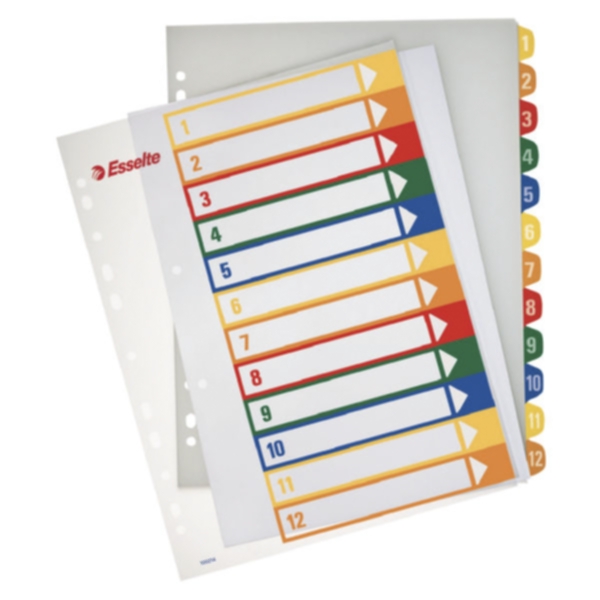 ESSELTE Register PP A4+ for PC-print 1-12