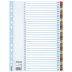 Register Mylar A4/1-31 multifärgat