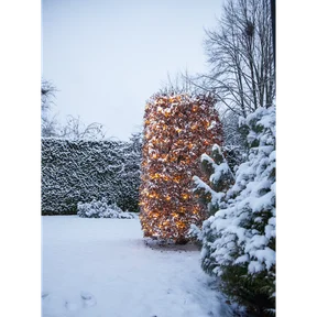 Ljusnät Shiny Warm White 3x3m