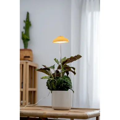 Iris Växtbelysning 5W Dim med touch Gul