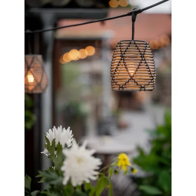 Flex Out ljusslinga inkl. 5st Lollo 18cm