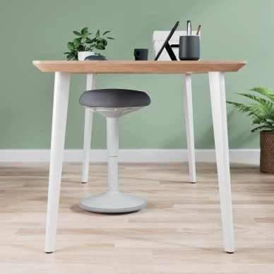 Leitz Ergo Active Sittpall ljusgrå