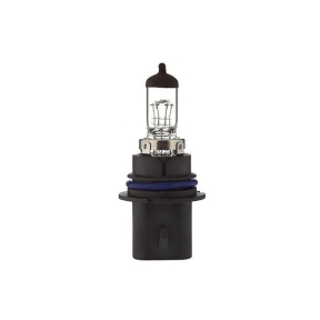 Bosma halogen billampa HB1 P29t 65/45W 12V