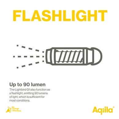Aqiila Lightbird G1 lykta och ficklampa