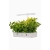 Daisy Växtbelysning 20W 1450lm