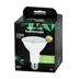 Airam LED Plante lyspære 10W/835 E27