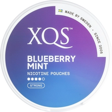 XQS alt XQS Blueberry Mint Strong Slim
