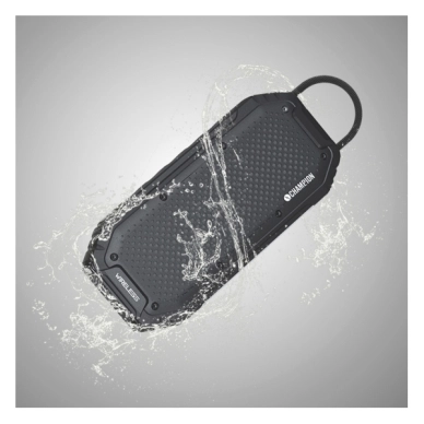 Champion Bluetooth Högtalare SBT360
