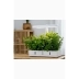 Daisy Växtbelysning 20W 1450lm