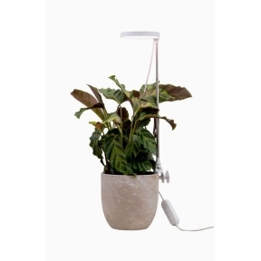 Rose Plantebelysning 10W Dim med touch