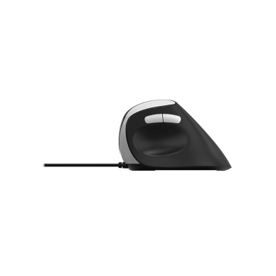 Produktfoto för RAPOO EV200 mouse - Ergonomisk mus - Optisk / gyroskopiska - 6 knappar - Svart